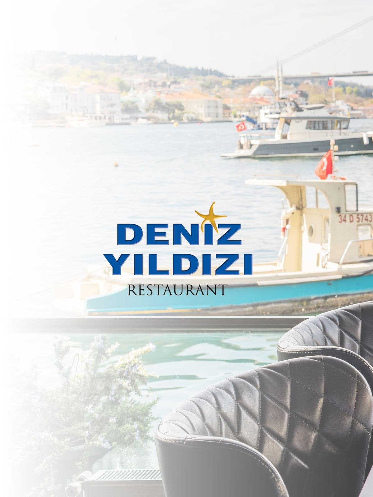 Deniz Yıldızı