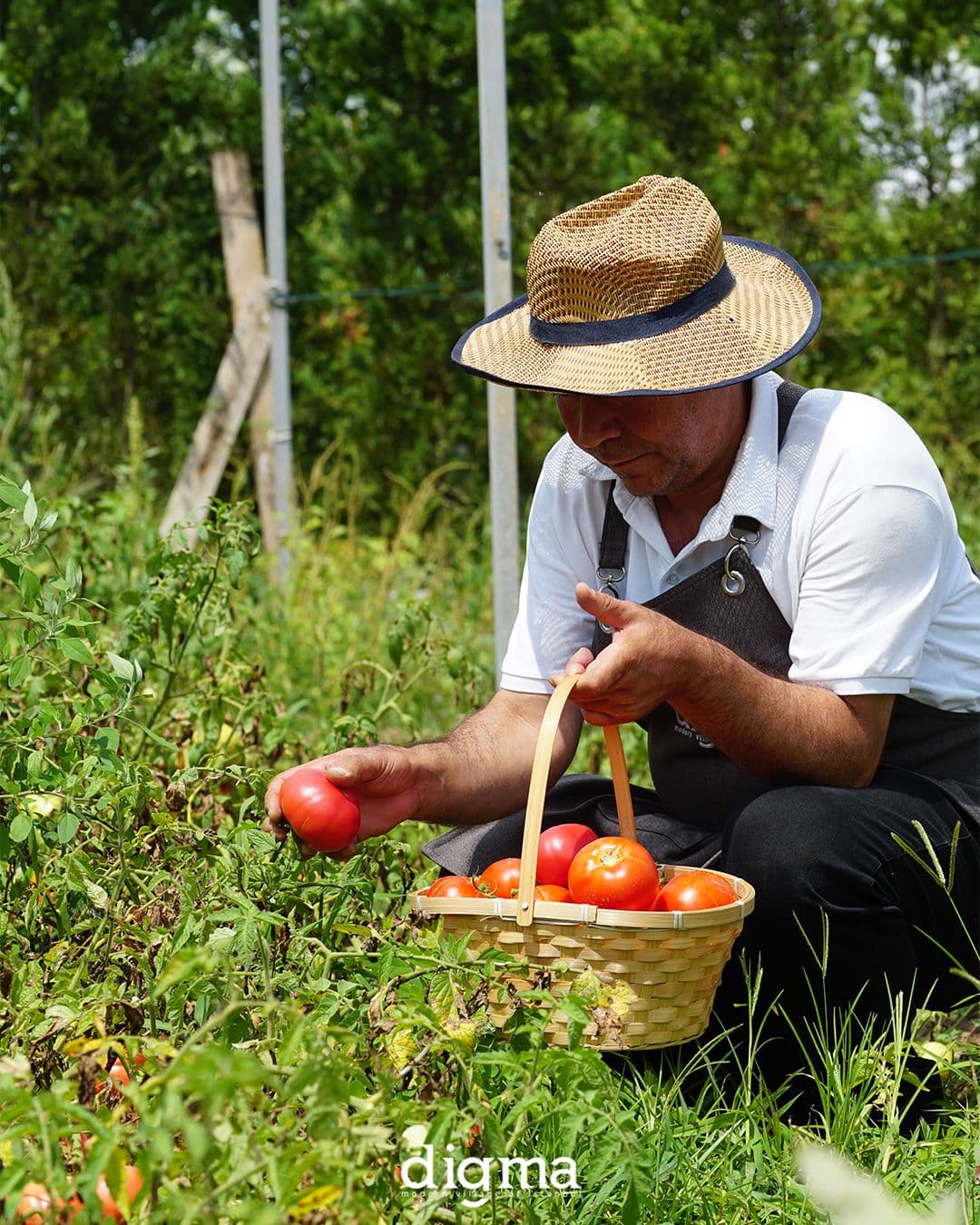 Digma Gastronomi Çekimi