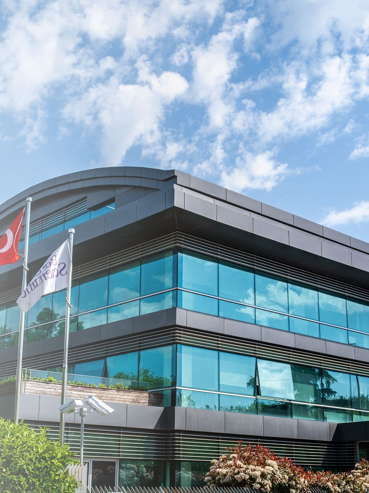 Boston Scientific