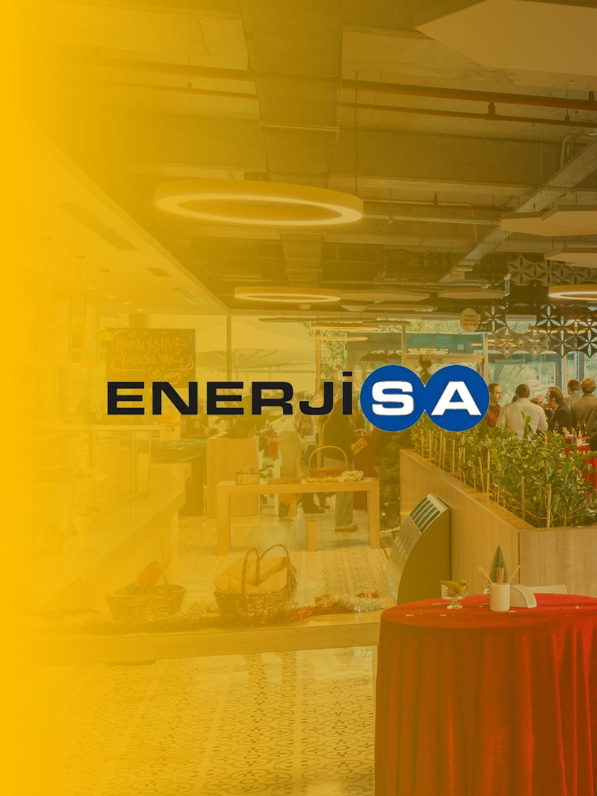 Enerjisa