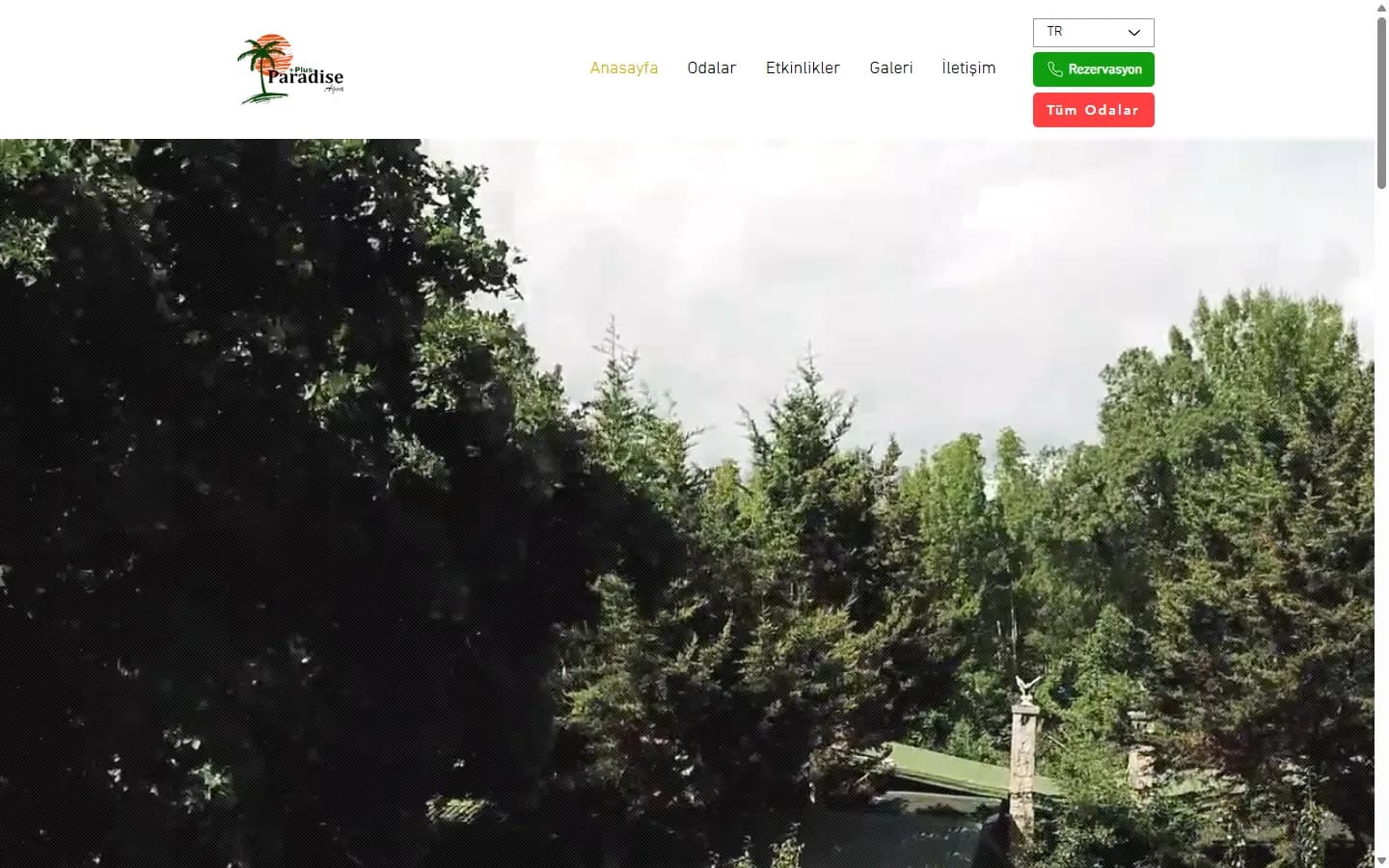 Paradise Ağva doğa konaklaması web sitesi galeri bölümü