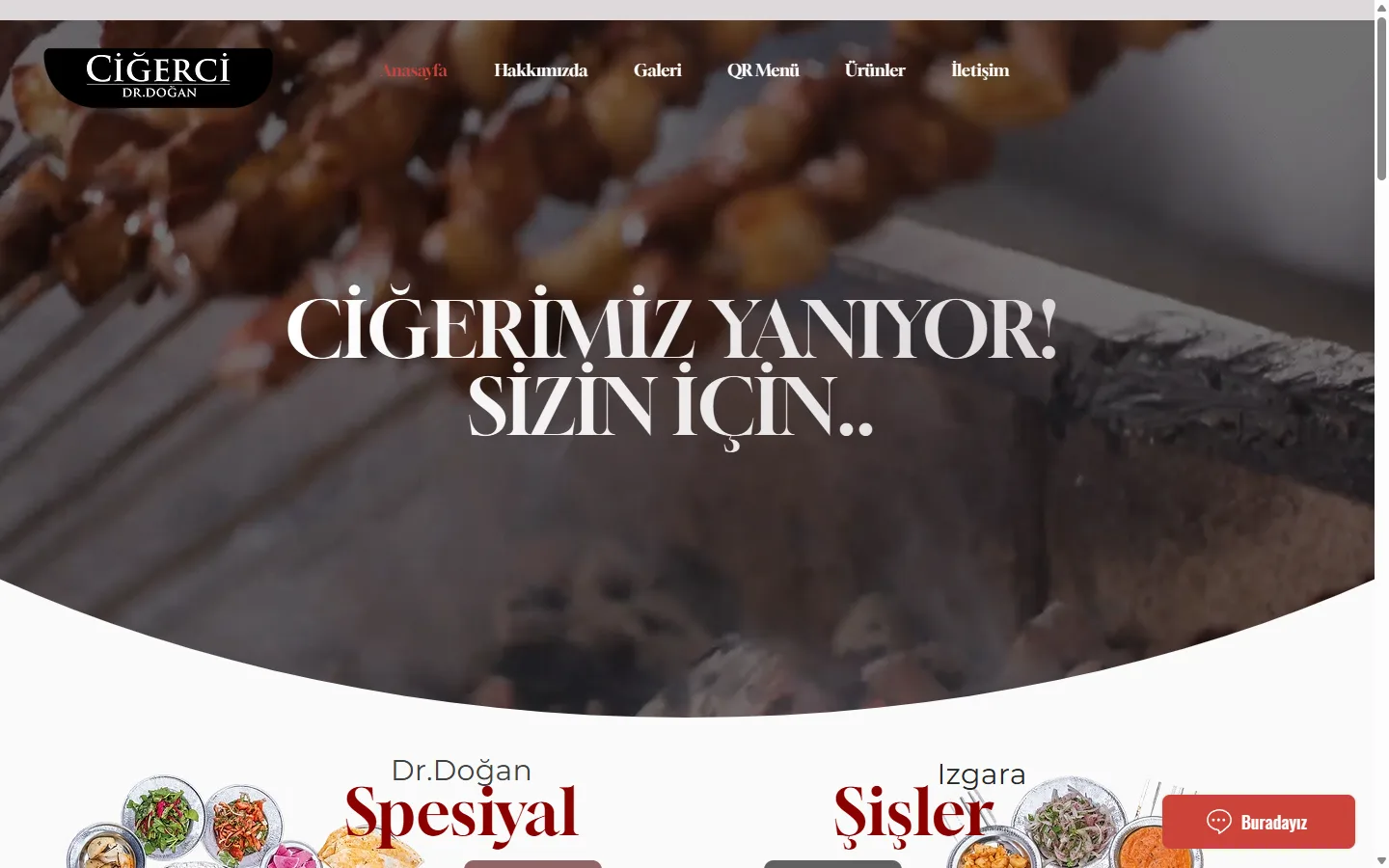 Ciğerci Dr. Doğan Kurtköy Pendik restoran web sitesi — Ador Ajans web tasarımı